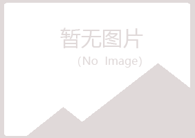 南阳宛城白山化学有限公司